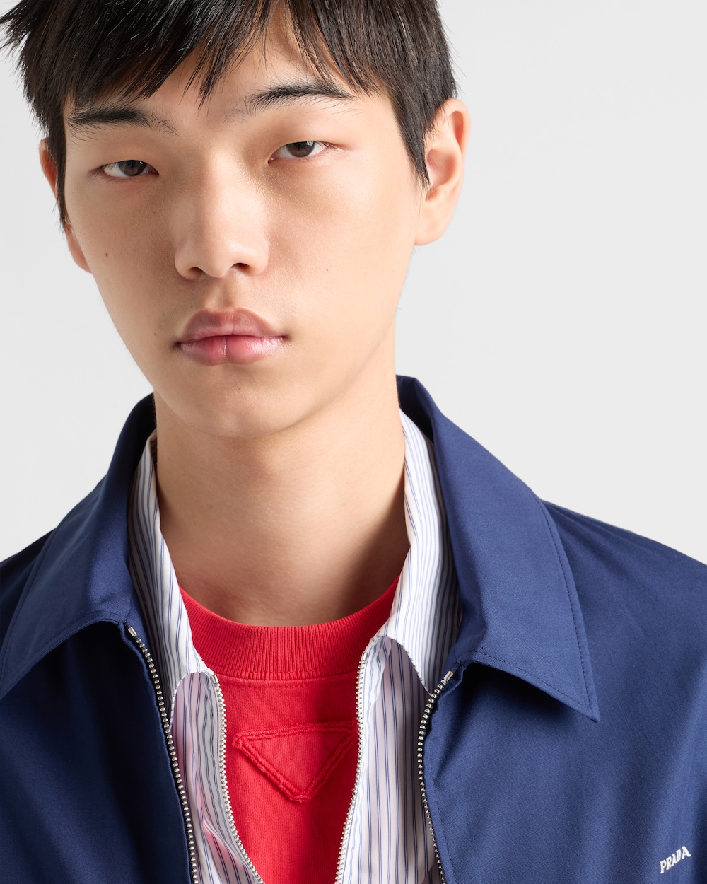 コットン Tシャツ