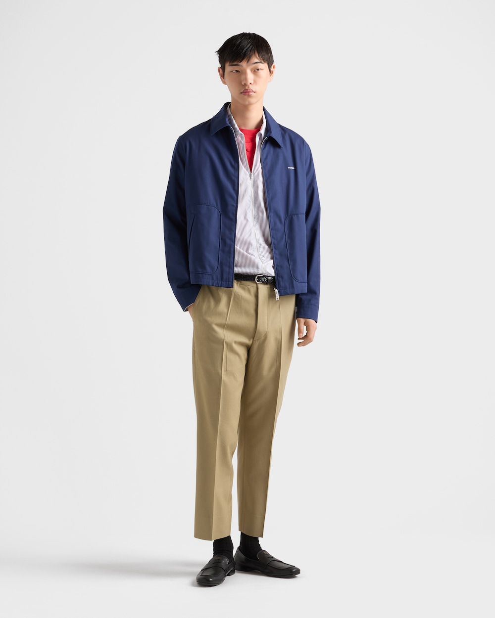 コットン Tシャツ